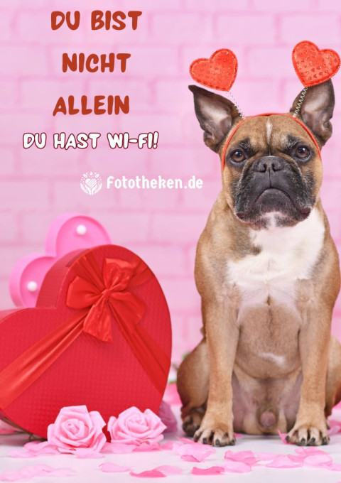 Du bist nicht allein – du hast Wi Fi!