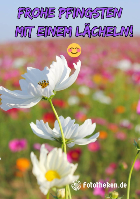 Frohe Pfingsten – mit einem Lächeln! ?