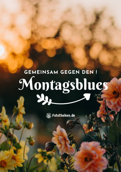 Gemeinsam gegen den Montagsblues!