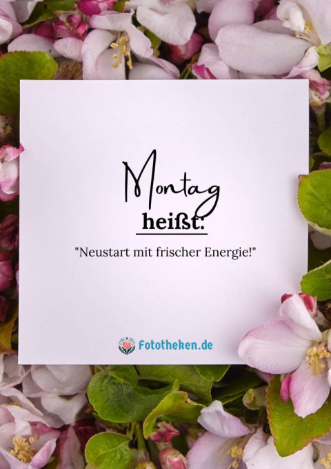 Montag heißt Neustart mit frischer Energie!