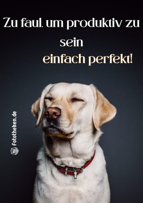 Zu faul, um produktiv zu sein – einfach perfekt!