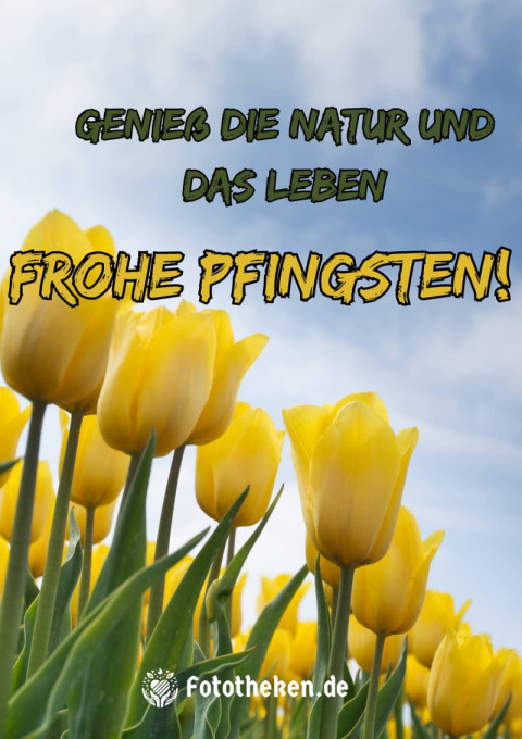 Genieß die Natur und das Leben – frohe Pfingsten!