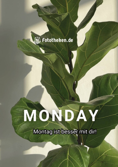 Montag ist besser mit dir!