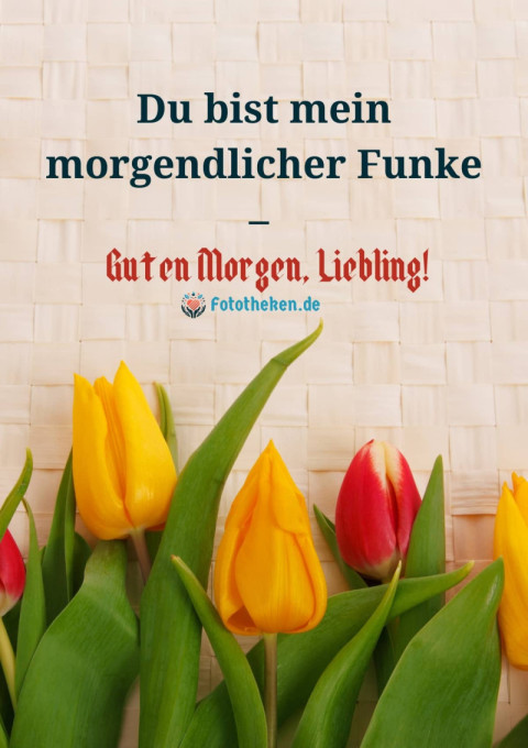 Du bist mein morgendlicher Funke – Guten Morgen, Liebling!