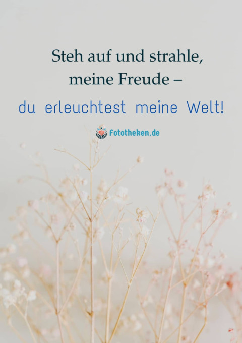 Steh auf und strahle, meine Freude – du erleuchtest meine Welt!