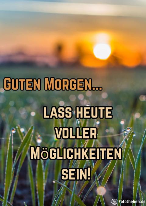 Guten Morgen, lass heute voller Möglichkeiten sein!
