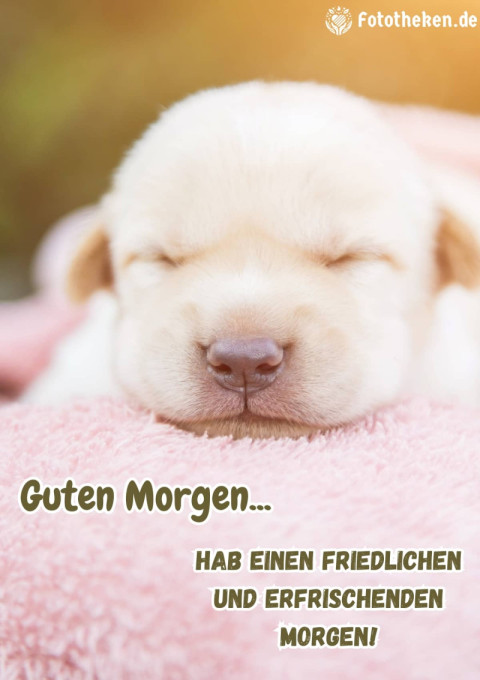 Hab einen friedlichen und erfrischenden Morgen!