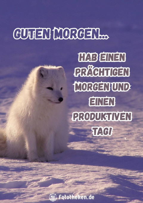 Hab einen prächtigen Morgen und einen produktiven Tag!