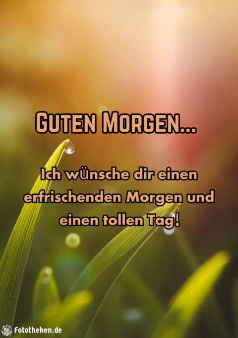 Ich wünsche dir einen erfrischenden Morgen und einen tollen Tag!