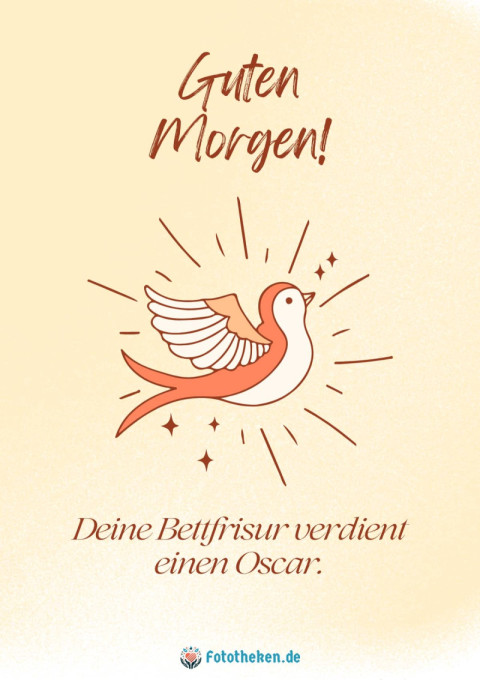 Guten Morgen! Deine Bettfrisur verdient einen Oscar