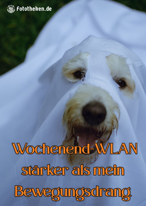 Wochenend WLAN stärker als mein Bewegungsdrang