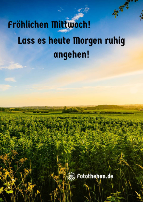 Fröhlichen Mittwoch! Lass es heute Morgen ruhig angehen!