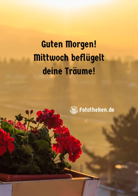 Guten Morgen! Mittwoch beflügelt deine Träume!