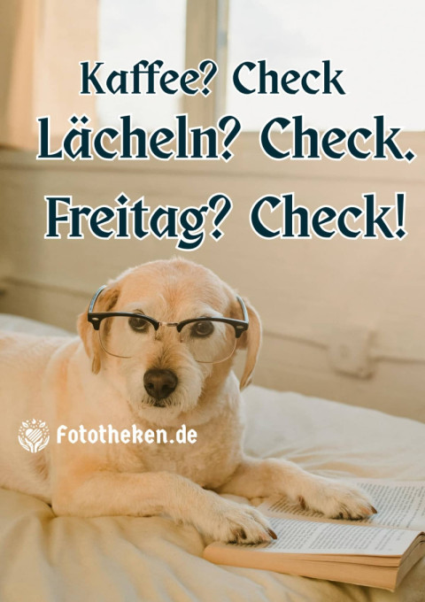 Kaffee Check Lächeln Check