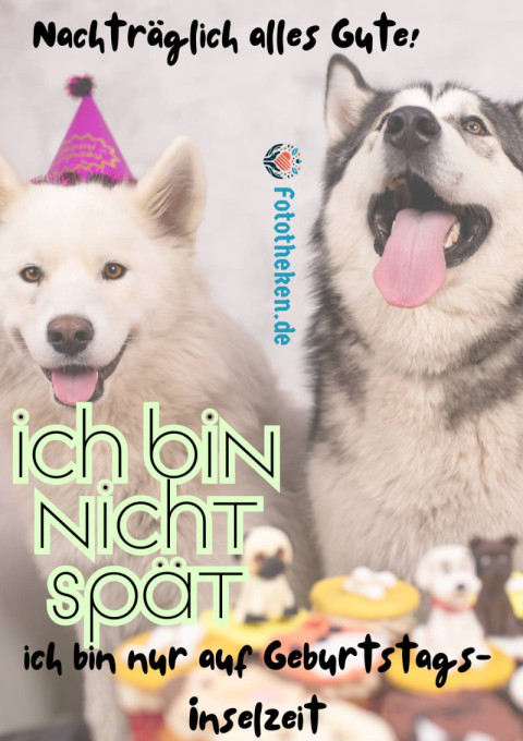 Nachträglich alles Gute! Ich bin nicht spät, ich bin nur auf Geburtstags Inselzeit