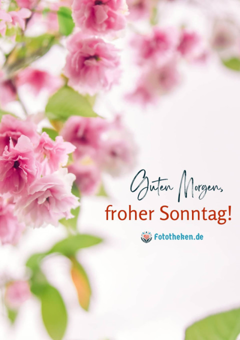 Guten Morgen, froher Sonntag!