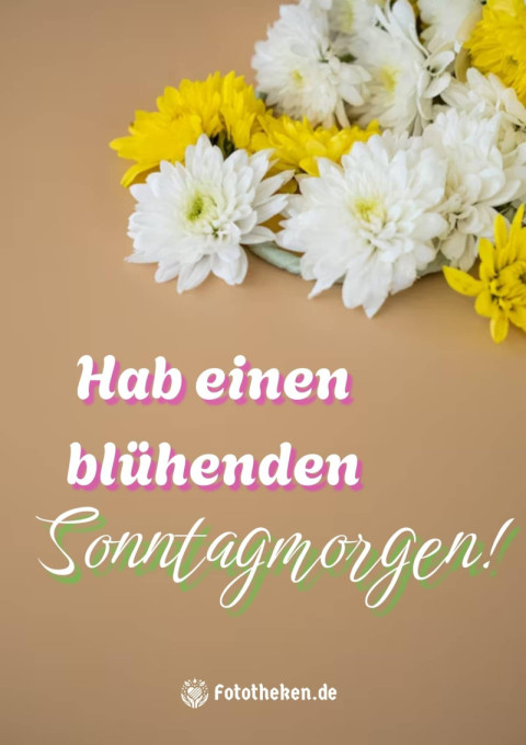 Hab einen blühenden Sonntagmorgen!