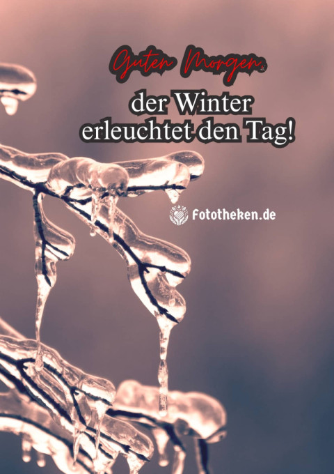 Guten Morgen, der Winter erleuchtet den Tag!