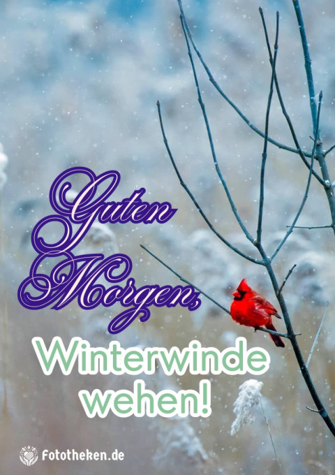 Guten Morgen, Winterwinde wehen!