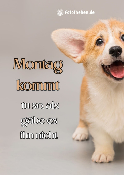 Montag kommt… tu so, als gäbe es ihn nicht