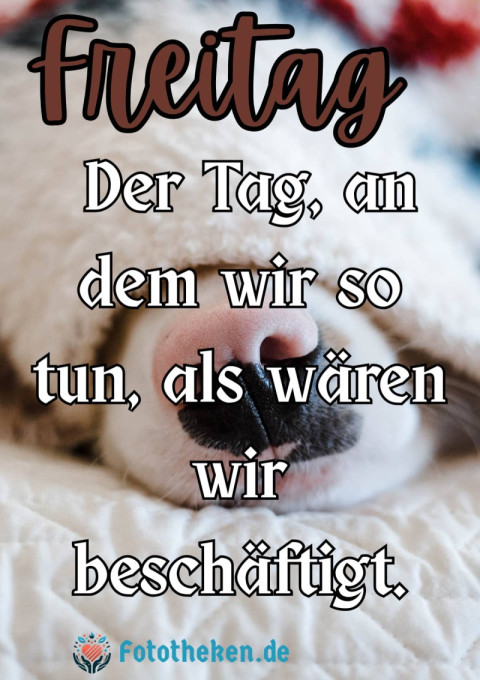 Freitag Der Tag, an dem wir so tun, als wären wir beschäftigt