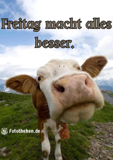 Freitag macht alles besser