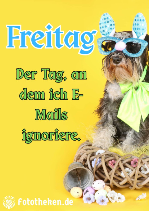 Freitag Der Tag, an dem ich E Mails ignoriere
