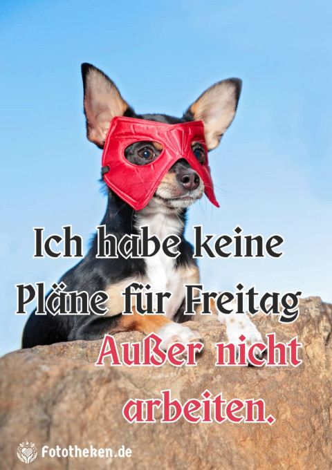 Ich habe keine Pläne für Freitag  Außer nicht arbeiten