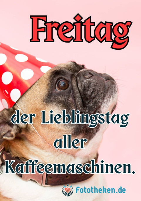 Freitag – der Lieblingstag aller Kaffeemaschinen