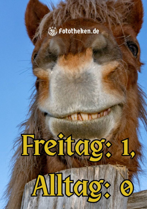 Freitag 1, Alltag 0