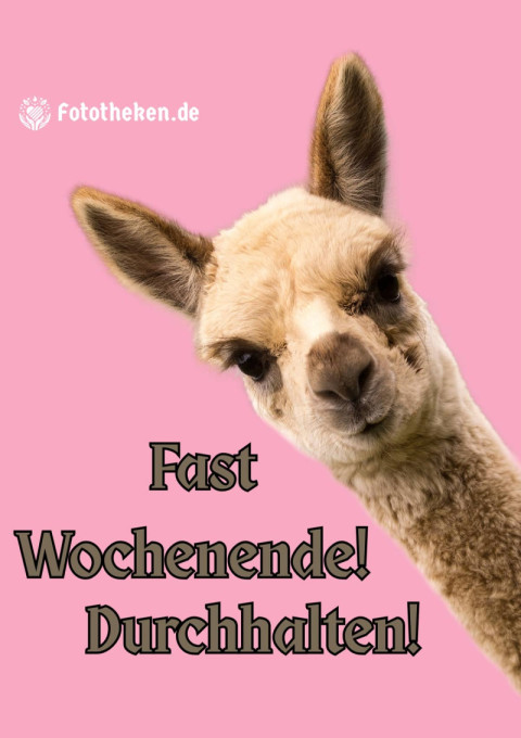 Fast Wochenende! Durchhalten!