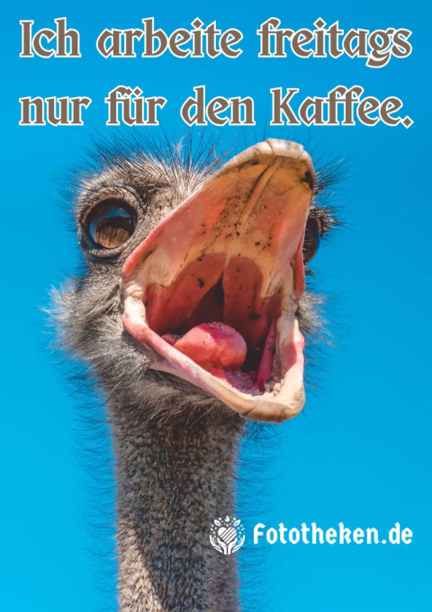 Ich arbeite freitags nur für den Kaffee