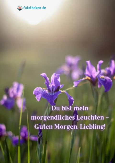 Du bist mein morgendliches Leuchten – Guten Morgen, Liebling!