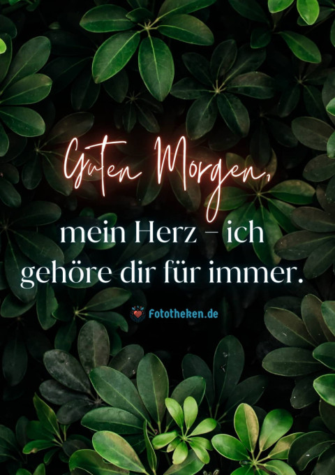 Guten Morgen, mein Herz – ich gehöre dir für immer