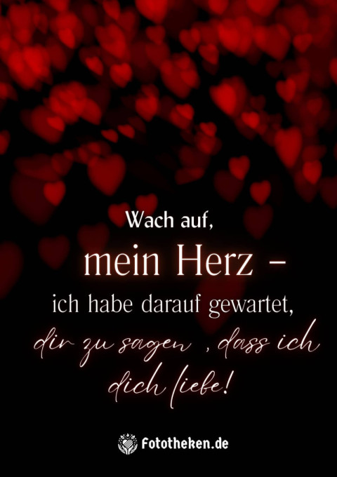 Wach auf, mein Herz – ich habe darauf gewartet, dir zu sagen, dass ich dich liebe!