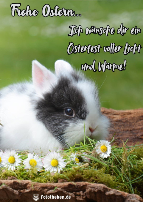 Ich wünsche dir ein Osterfest voller Licht und Wärme!
