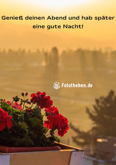 Genieß deinen Abend und hab später eine gute Nacht!