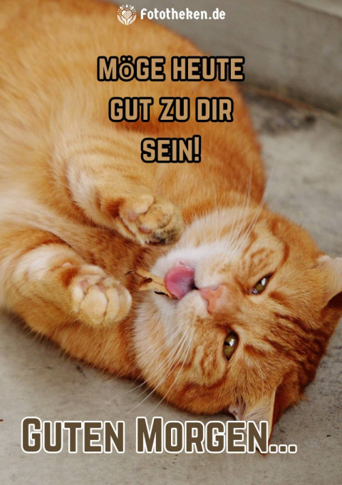 Guten Morgen, möge heute gut zu dir sein!