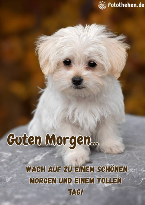 Wach auf zu einem schönen Morgen und einem tollen Tag!