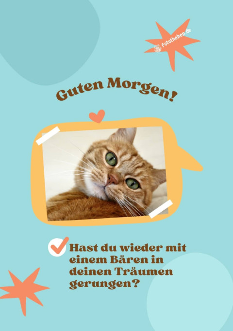 Guten Morgen! Hast du wieder mit einem Bären in deinen Träumen gerungen