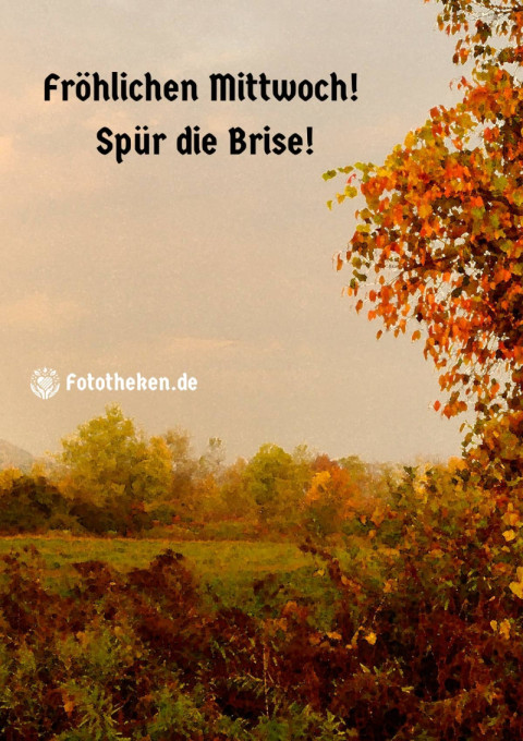 Fröhlichen Mittwoch! Spür die Brise!