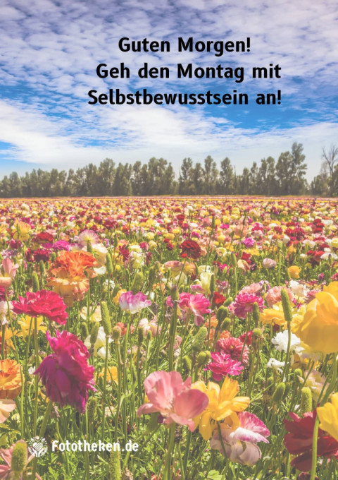 Guten Morgen! Geh den Montag mit Selbstbewusstsein an!
