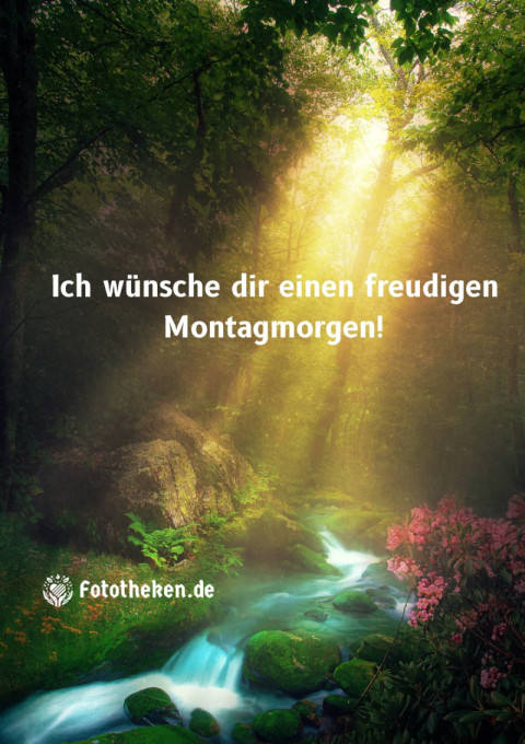 Ich wünsche dir einen freudigen Montagmorgen!