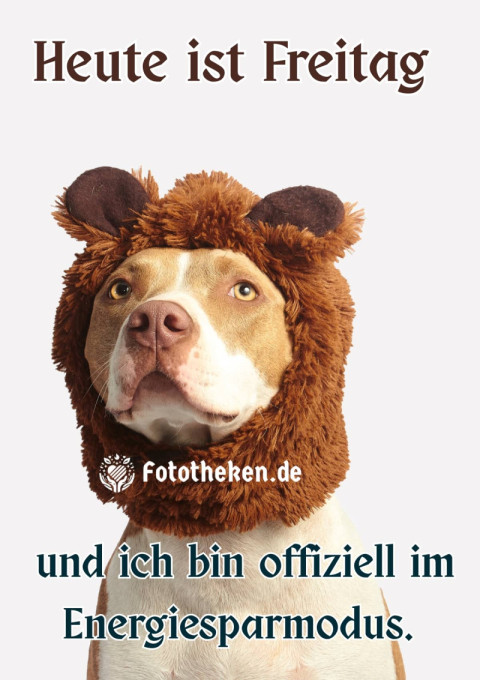 Heute ist Freitag – und ich bin offiziell im Energiesparmodus