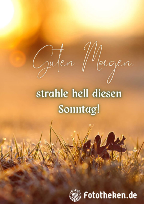Guten Morgen, strahle hell diesen Sonntag!