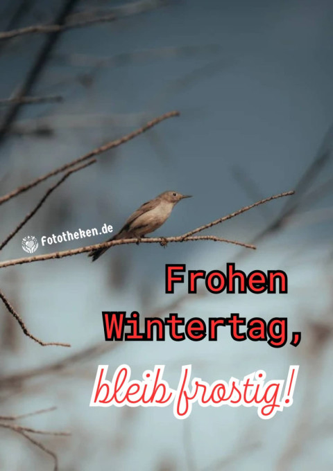 Frohen Wintertag, bleib frostig!