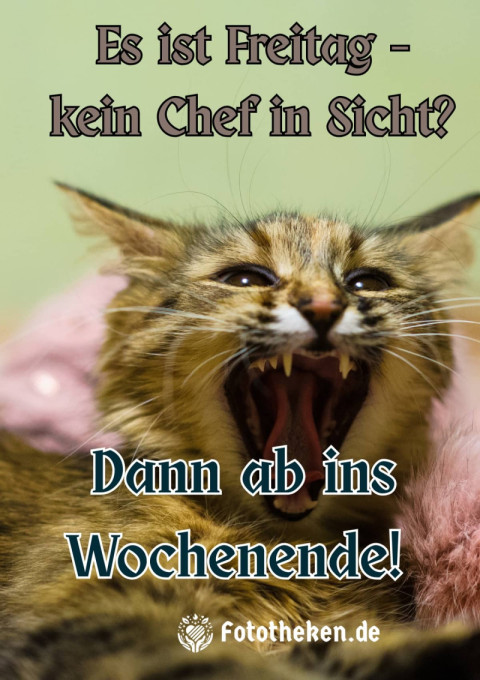 Es ist Freitag – kein Chef in Sicht Dann ab ins Wochenende!