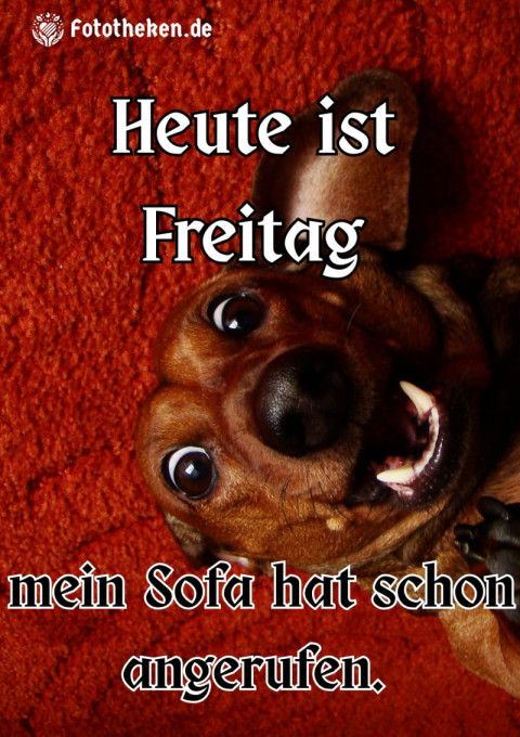 Heute ist Freitag – mein Sofa hat schon angerufen