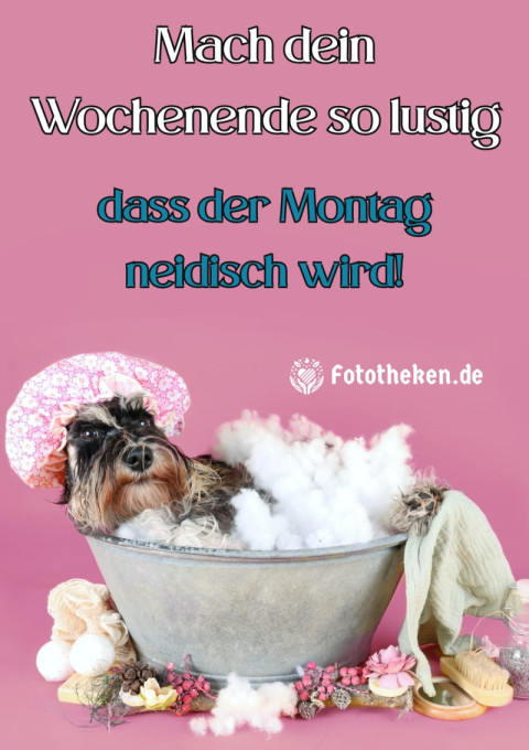 Mach dein Wochenende so lustig, dass der Montag neidisch wird!