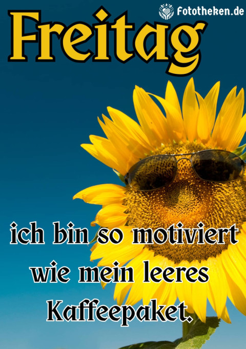 Freitag – ich bin so motiviert wie mein leeres Kaffeepaket